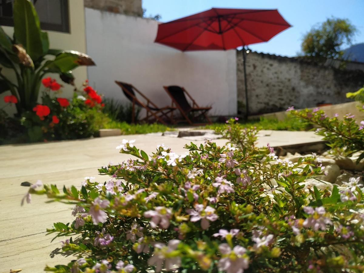Hotel Anthurium Jalcomulco Zewnętrze zdjęcie